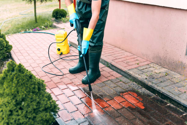 Animal Enclosure Cleaning in Hudson, PA